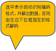 Բ�Ǿ��α�ע: ѡ�б�ʾ�Զ�ʶ������ʽ����������ݣ����������������ָ���ĸ�ʽ����